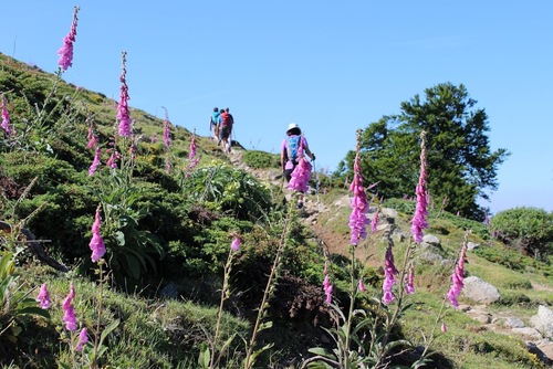 Dimanche 28 juin 2015 Cimatella