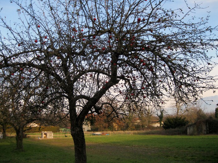 La campagne..