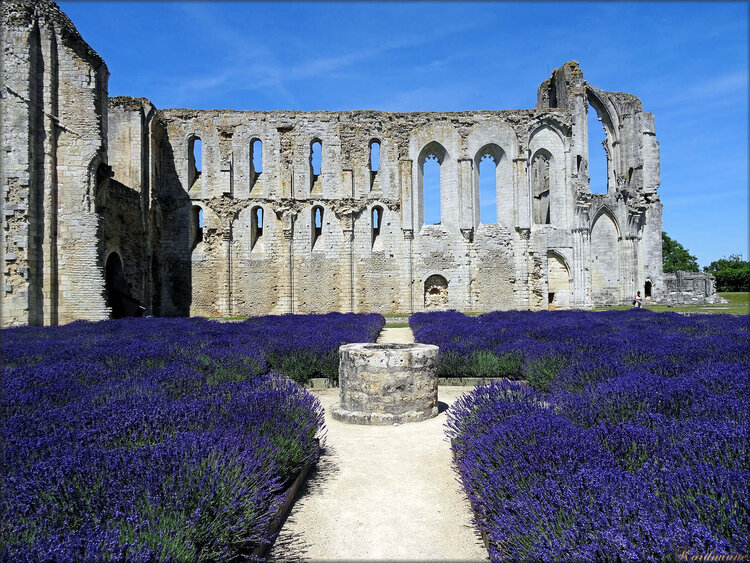 Le cloître est le cœur du monastère, un lieu clos qui se développe autour d’un jardin bordé de galeries couvertes. Celles de Maillezais, à charpente apparente et sol à carreaux de terre cuite vernissé