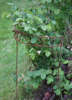 Nouvelles décos au jardin