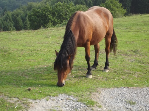 Une rencontre bien agréable !!