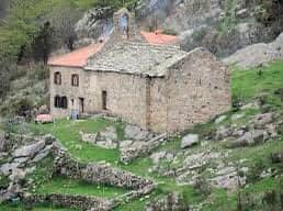 Peut être une image de arbre et plein air