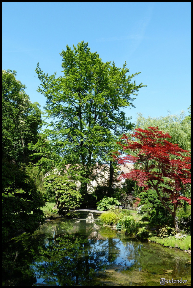 Château de Courances : Jardin japonais