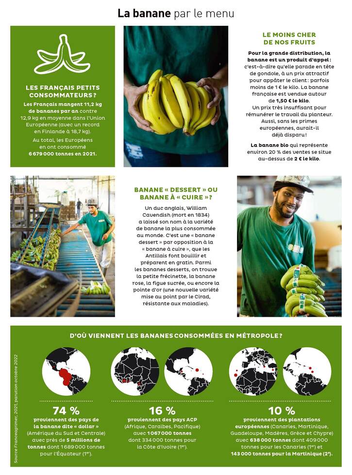 Recettes 20:   Les révolutionnaires de la banane bio + recettes (10 pages)