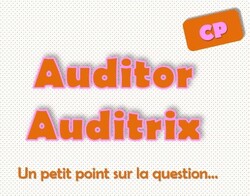 Auditor Auditrix, un point sur la compréhension de textes au CP