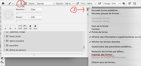 Les pinceaux et la gomme sur CC 2018
