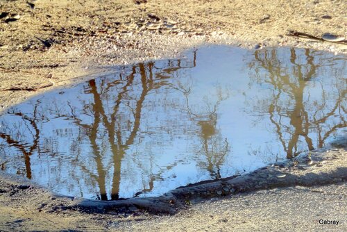 Des reflets et des flaques 