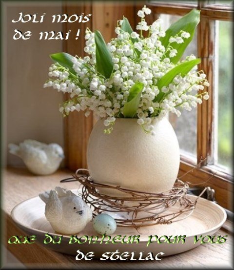 bouquet muguet sur mon blog pr Mai