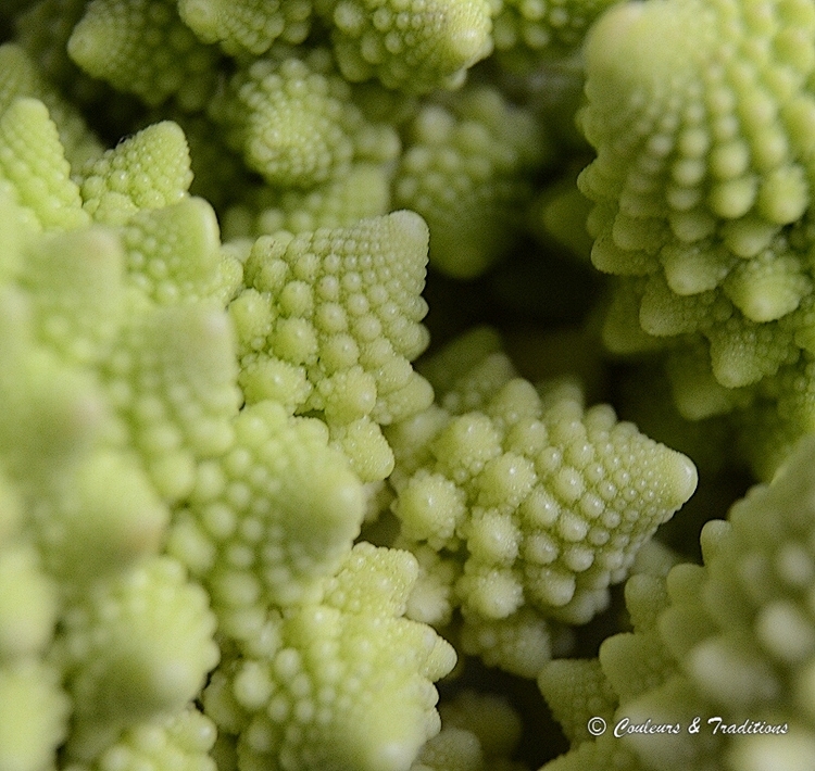 Romanesco 