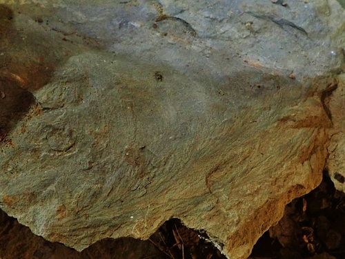 Cornus Larzac et cave