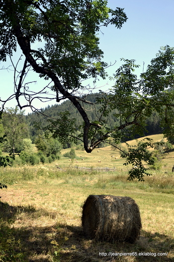 2015.07.12 Sappey en Chartreuse (Département Isère)