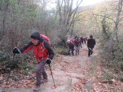 23 novembre 2023 Le Bois de Sisay