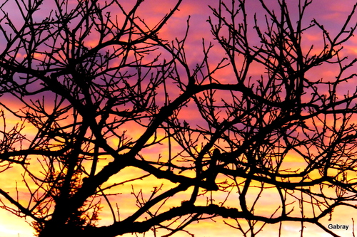 Ciel du matin : vent ou pluie ?