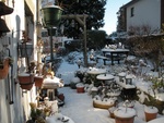 Mon jardin sous la neige ce 16 janvier 2013