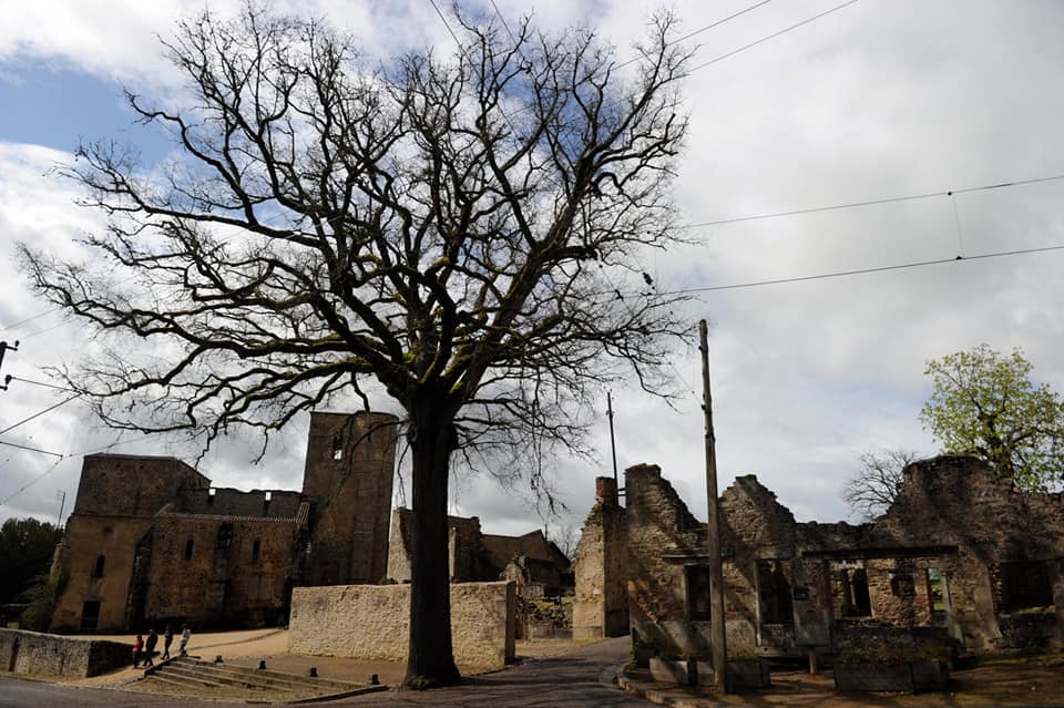 L’image contient peut-être : ciel, nuage, arbre, plein air et nature