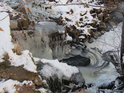 Paysages d'hiver