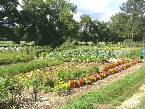 L'été aux Jardins Familiaux...