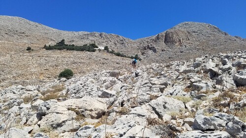 Balade en montagne...