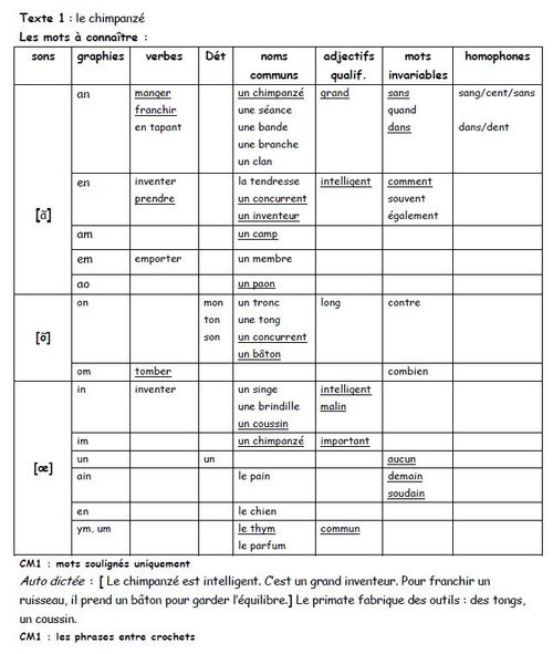 Orthographe programmation Picot "grammaire au jour le jour"