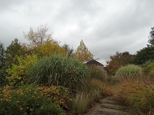 Couleurs d'automne aux jardins Amoena