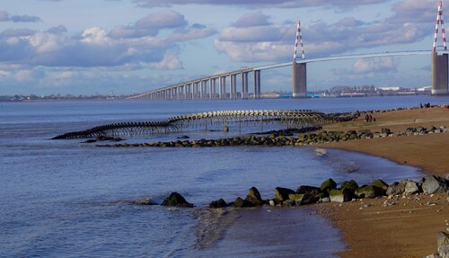 Le serpent observe le pont de Saint-Nazaire ...