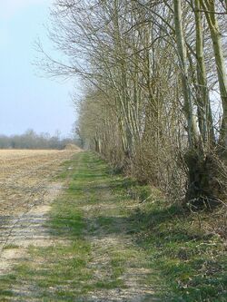 Le circuit du Mont-Rose (modifié)