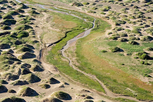 Le désert de Gobi