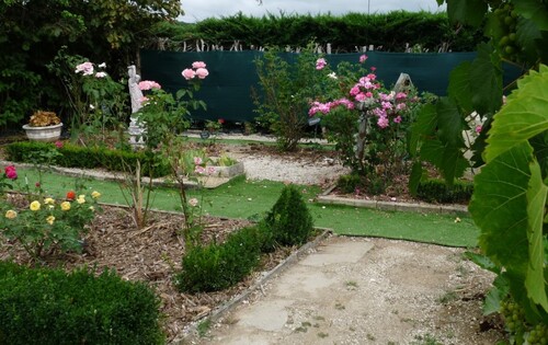 Le jardinet des roses