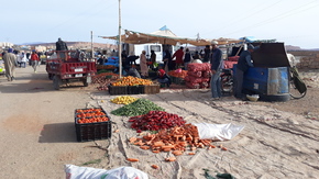 Des légumes à profusion 