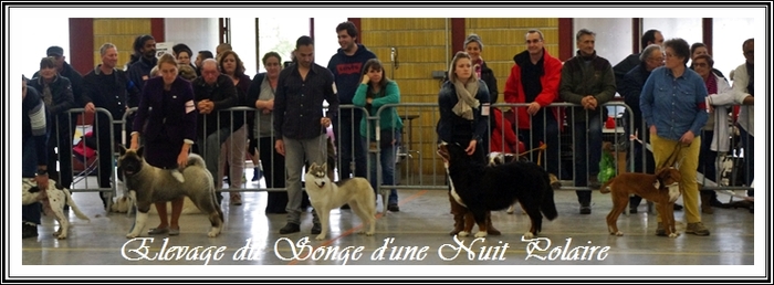 Exposition de Monclar-de-Quercy (21 avril 2019)