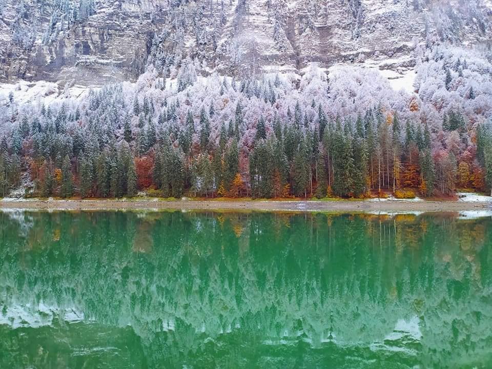 le lac de montriond en haute savoie en automne .. une petite merveille ! -  lacalobra