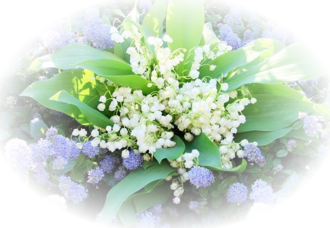 MUGUET