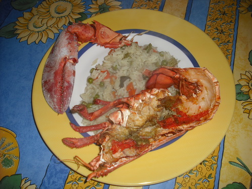 Homard