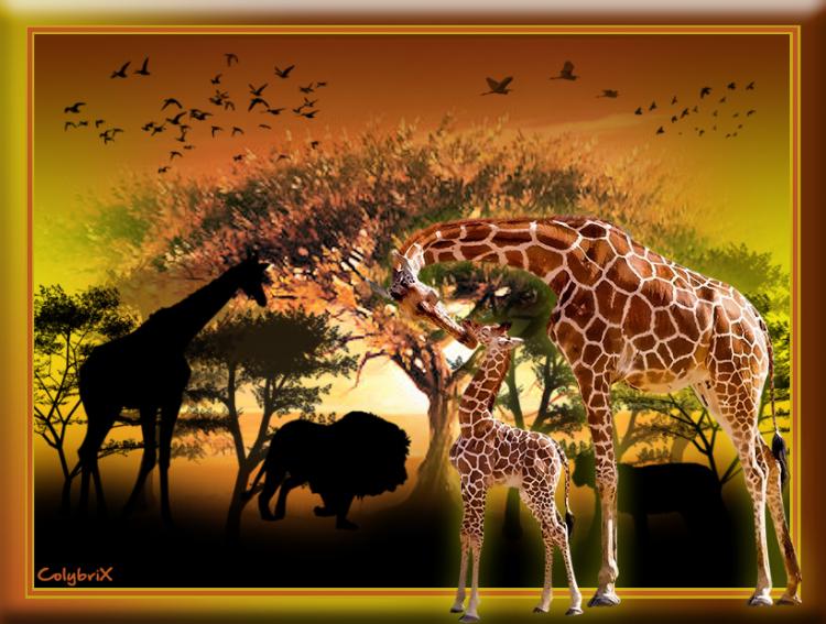 Versions " A la tombée de la nuit"