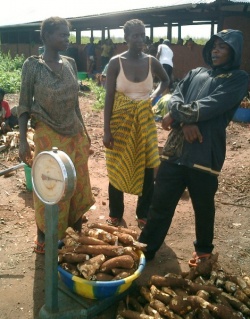 Weighing what they gathered