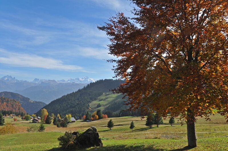 Le Praz-de-Lys en tons d'automne #2