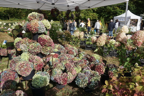 St Jean de Beauregard : de belles couleurs