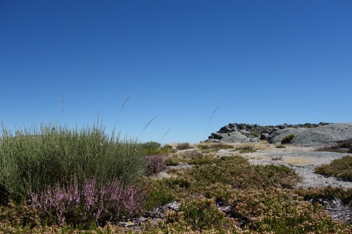 Direction la Serra Da Estrela