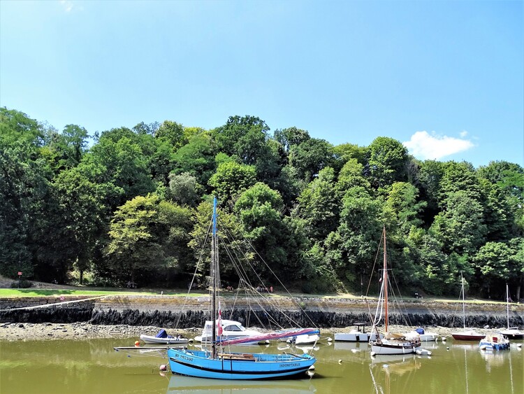 Saint Goustan en fleurs et racontage de Ondine