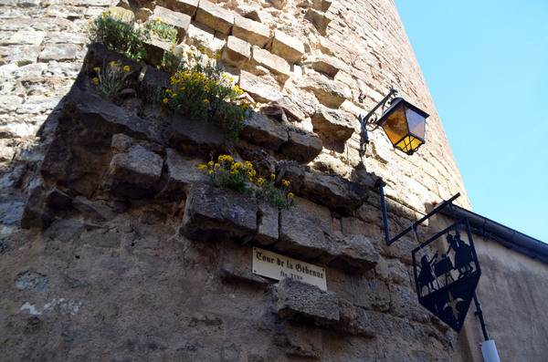 Visite de Semur-en-Auxois