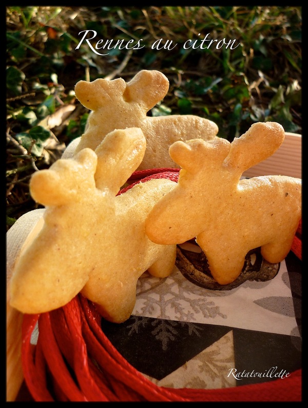 Petits gâteaux de Noël 5 : les rennes du Père Noël au citron