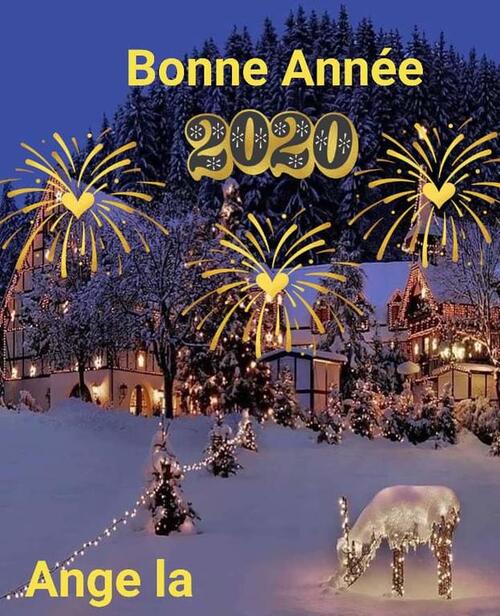 Bonne Année 2020 