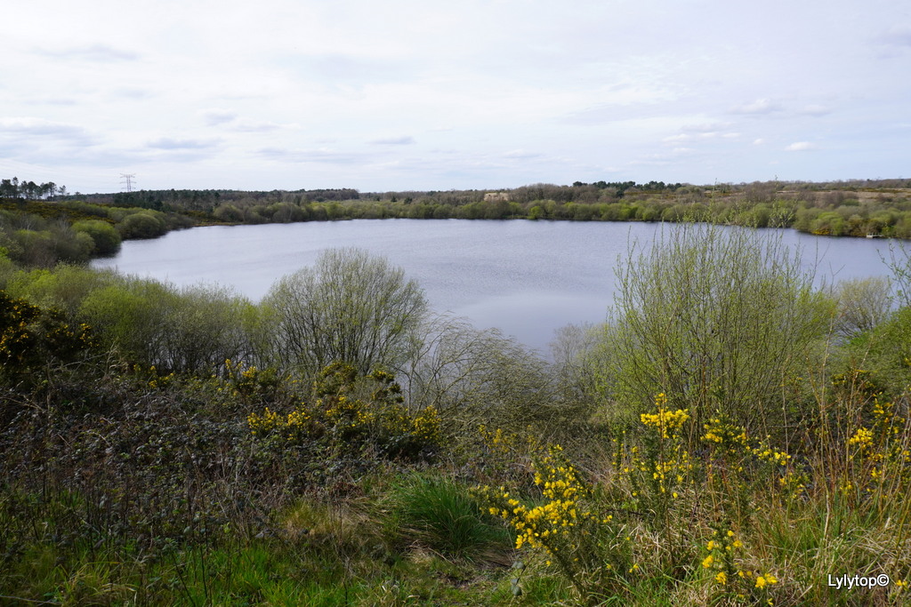 le lac des bruyère