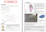 l'Antiquité : en cours de réalisation 