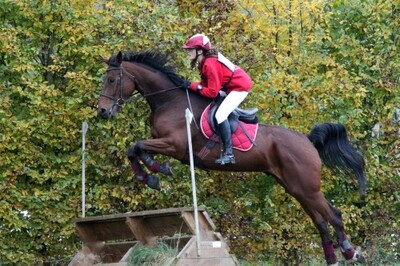 Louise, Team LMs, équitation, CCE, blog, Vidoc des Rondets