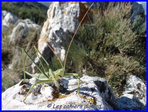 Mont Olympe et rocher de 11heures