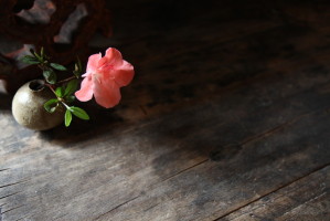 fleur.jpg
