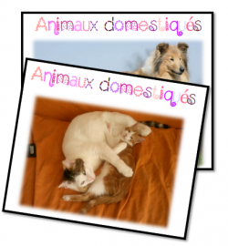 Jeux de français Cycle 2