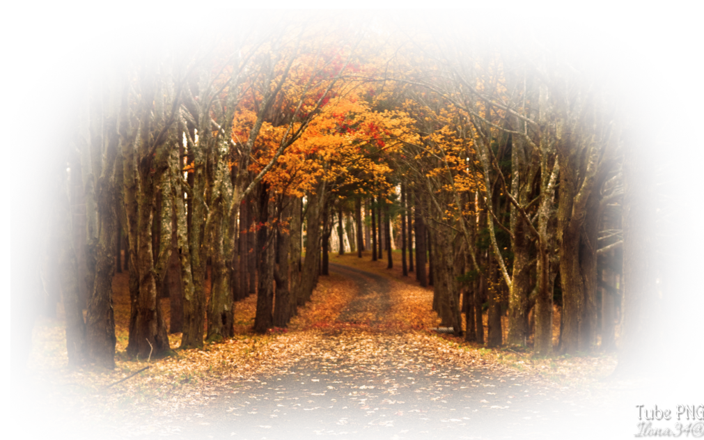 Tube paysage d'automne