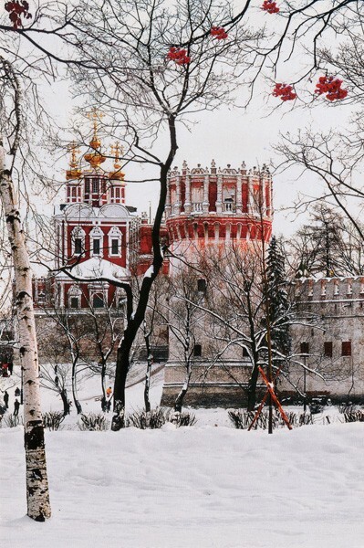 573 - Monastère de Novodevitchiy, Moscou, Russie